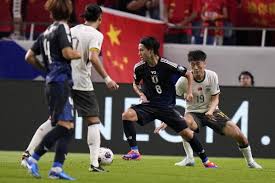 在国内