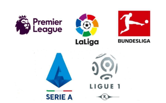 立了一个新 立了一个新